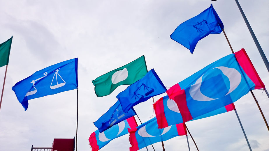 What Can We Learn from the 14th Malaysian General Election?